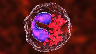 Eosinophil in Eosinophilic Asthma illustration 